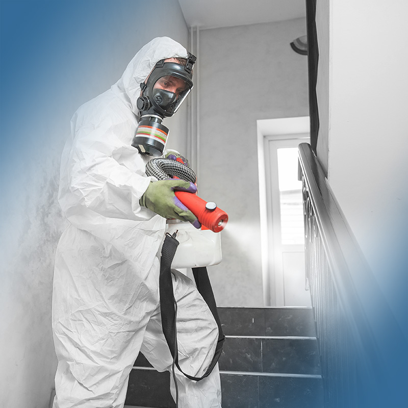Professional disinfection services