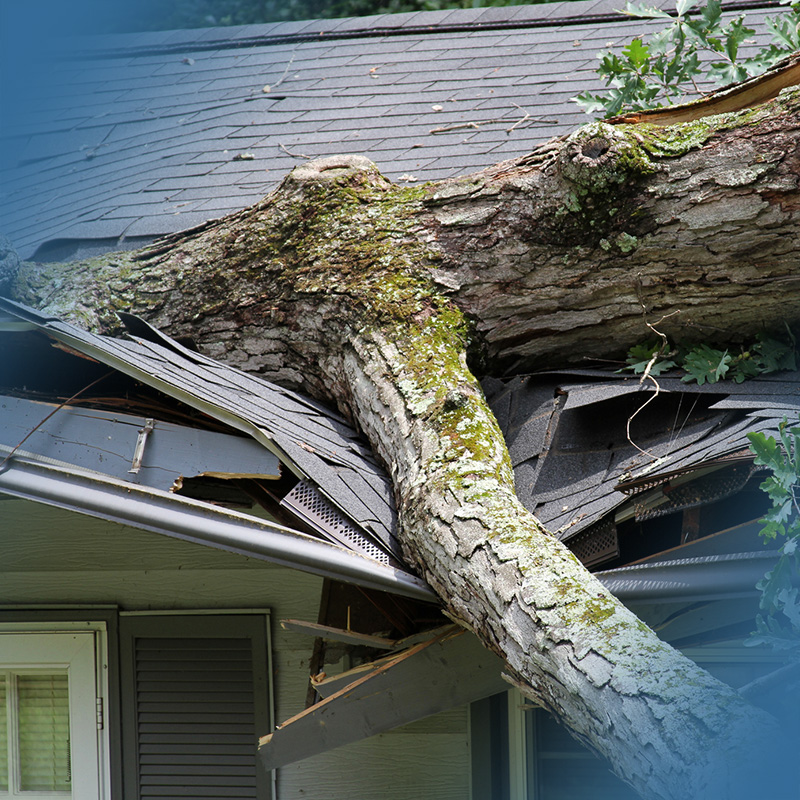 Professional water damage restoration services